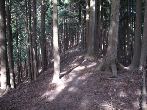20160121hike (204)